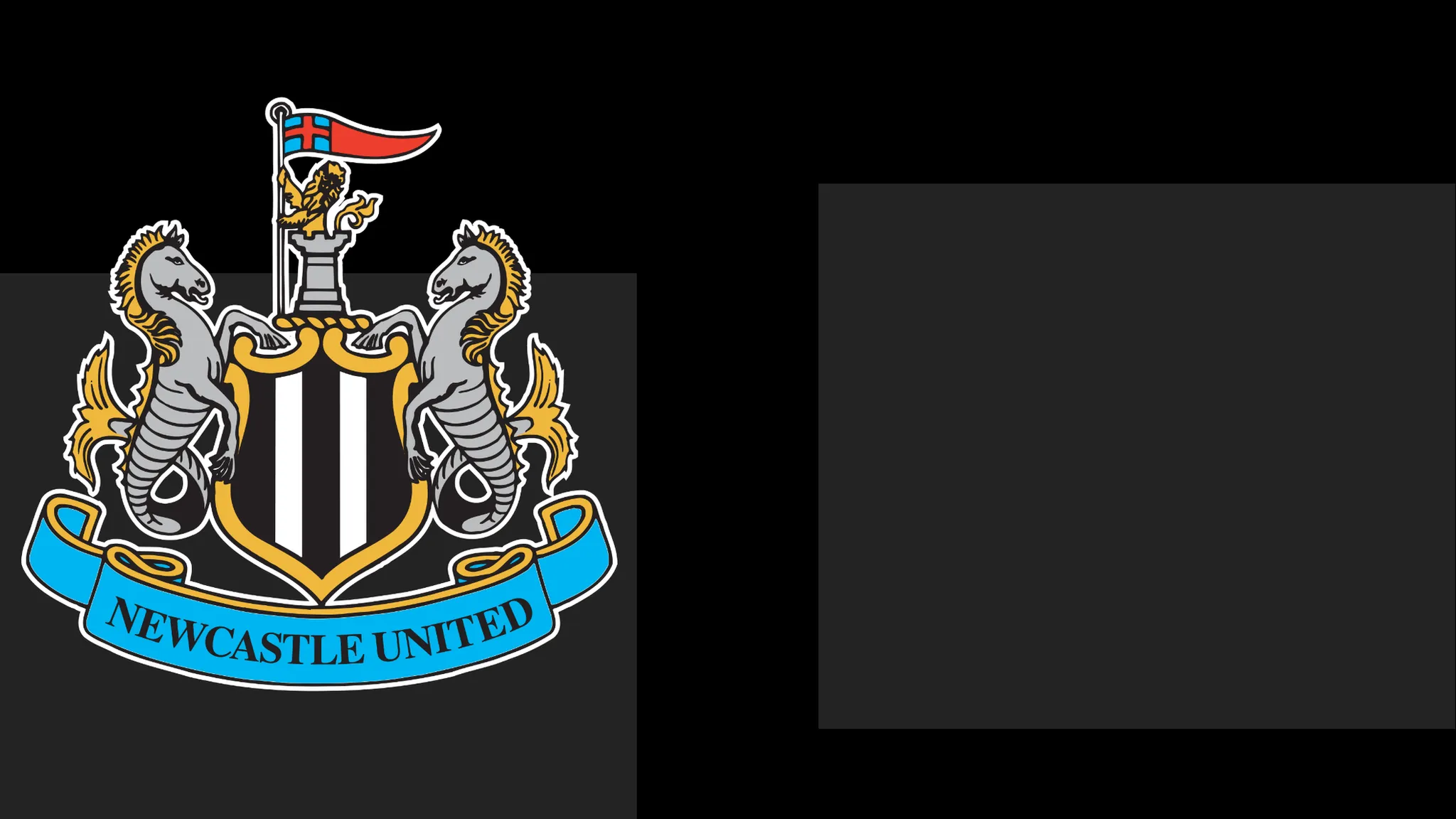 Newcastle Issue Apology to Followers Following Matchday Controversy