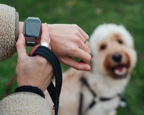 The Truth Regarding Wearable Tech? Living Feels Fuller Devoid of a Bossy Device on Your Wrist